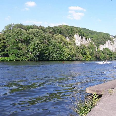 Апартаменты Vue Sur Meuse Профондвиль Экстерьер фото
